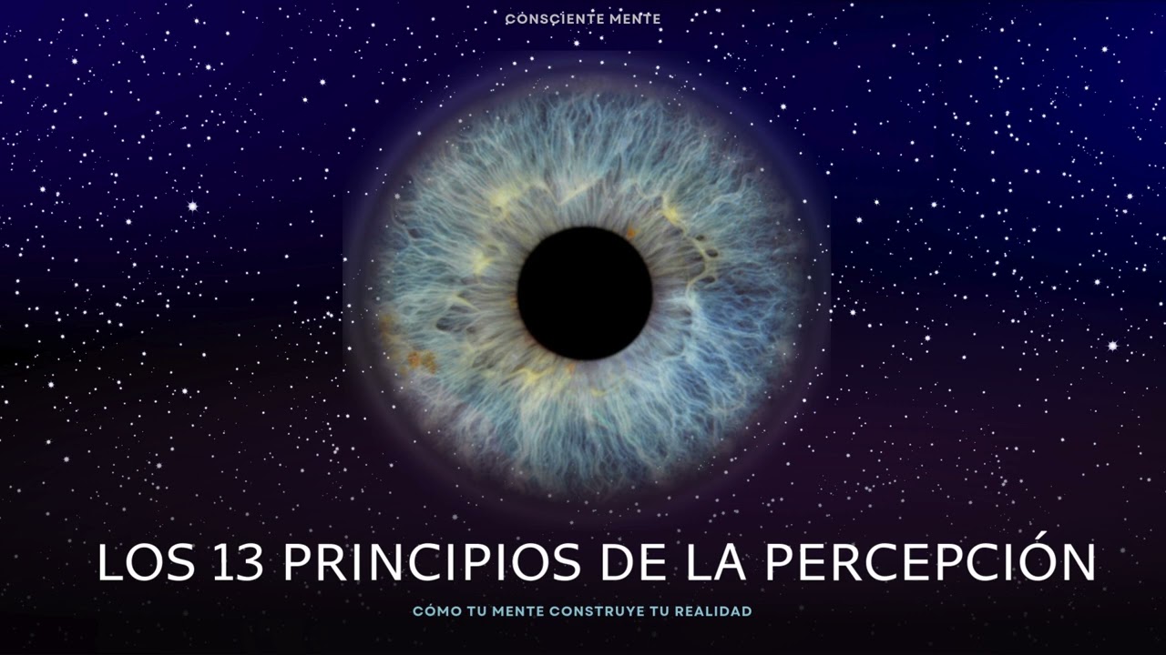 Los 13 principios de la percepción (Audio libro)