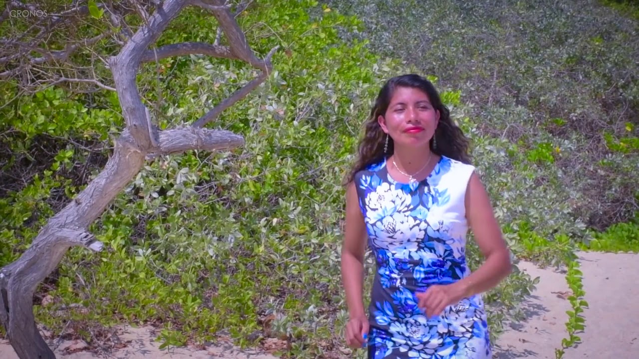 PLAYA Y SOL VIDEOCLIP OFICIAL 