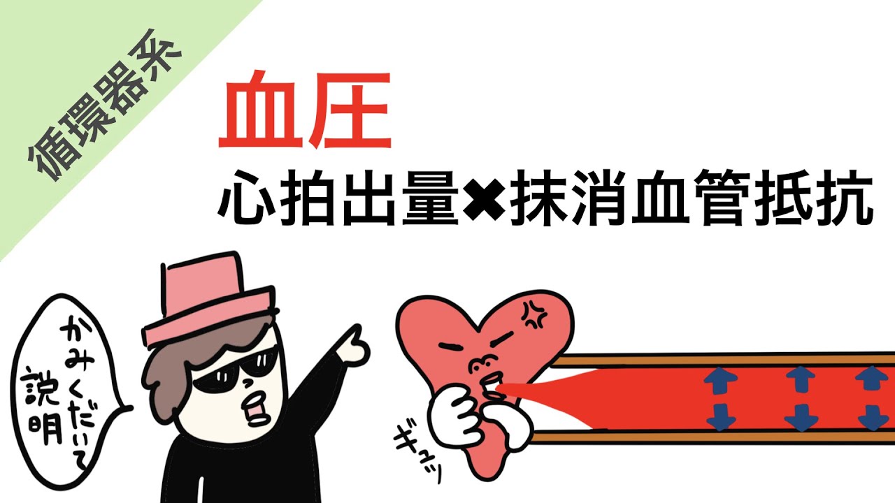 血圧の仕組み（イラスト図解）