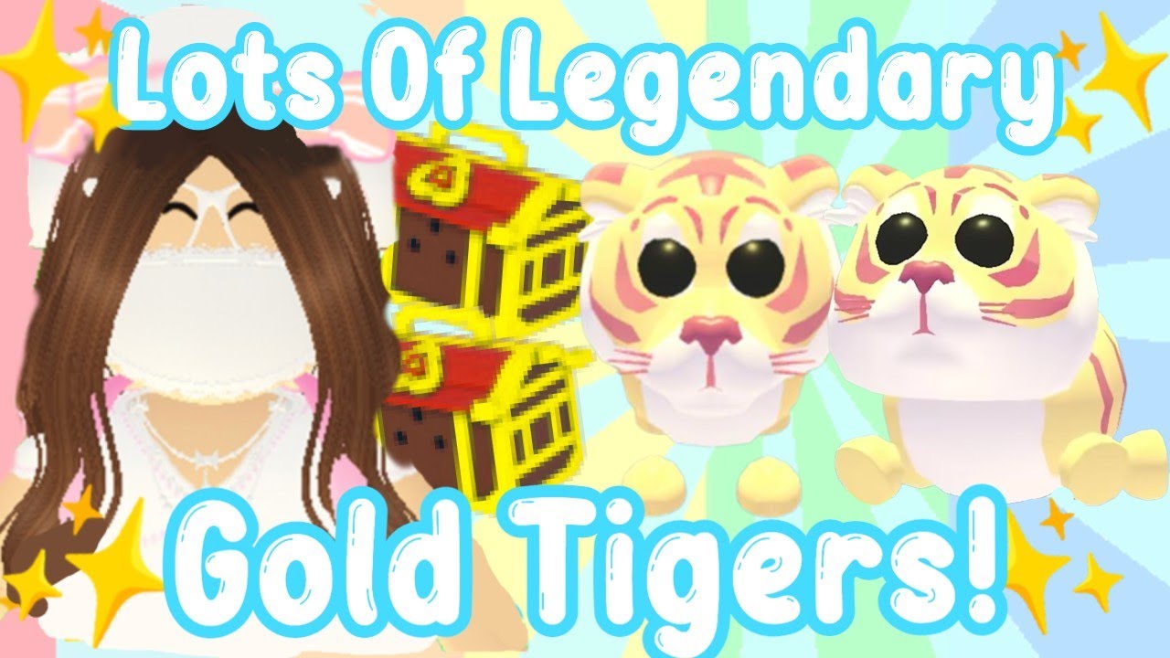 How To Get TONS Of Gold Tigers In Adopt Me! (Roblox) | AstroVV