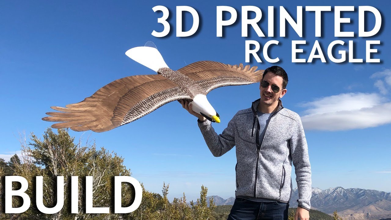 Epic DIY 3D Printed Planeprint Eagle Build