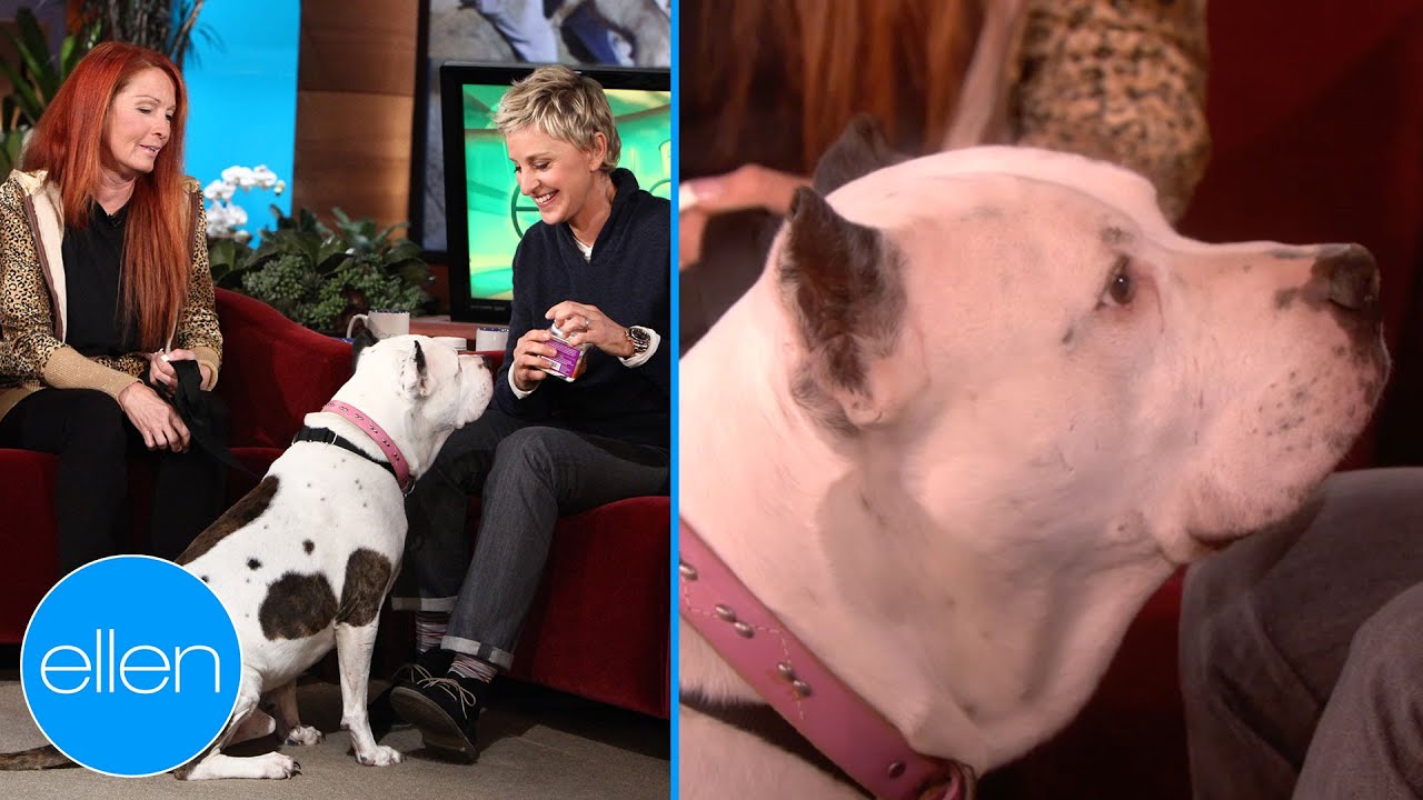 Ellen Meets Snorky (Season 7)