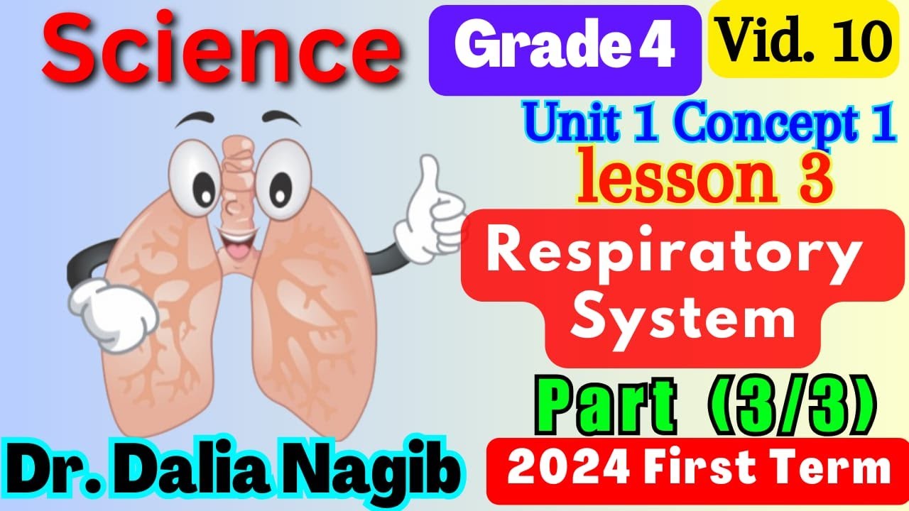 ساينس رابعه ابتدائي المنهج الجديد -  Science  Respiratory  System Grade 4 Concept 1 Lesson 3 Part 3