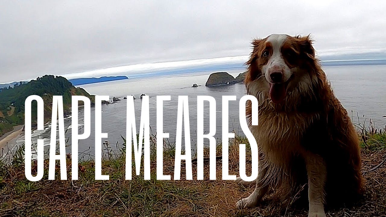 Cape Meares and Oceanside - Dog Friendly Travel