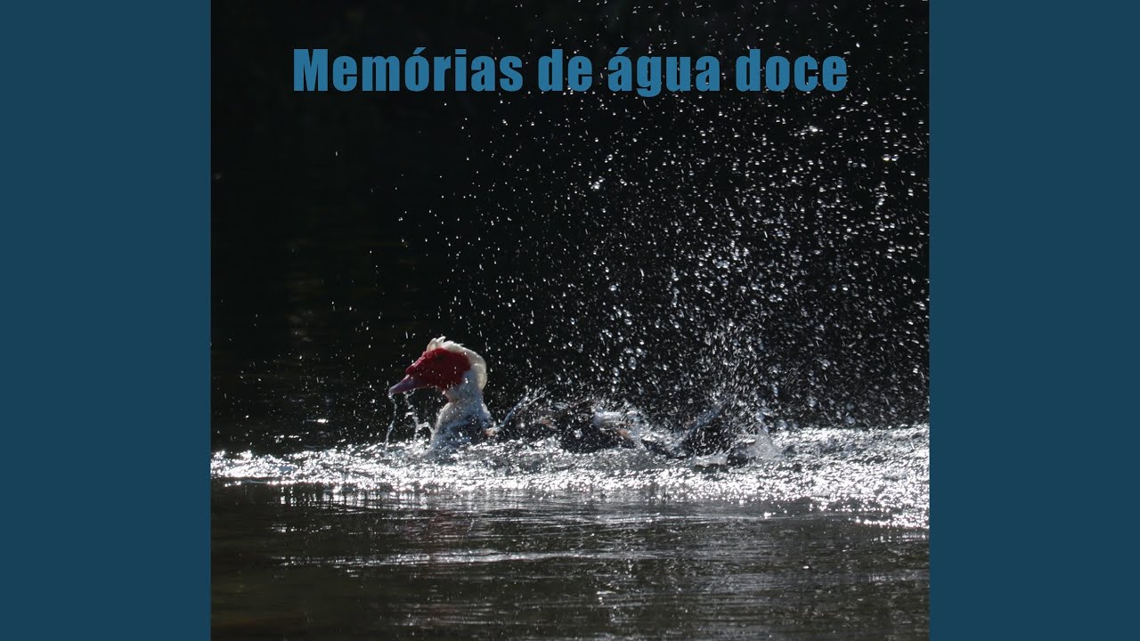 A fome apaziguada
