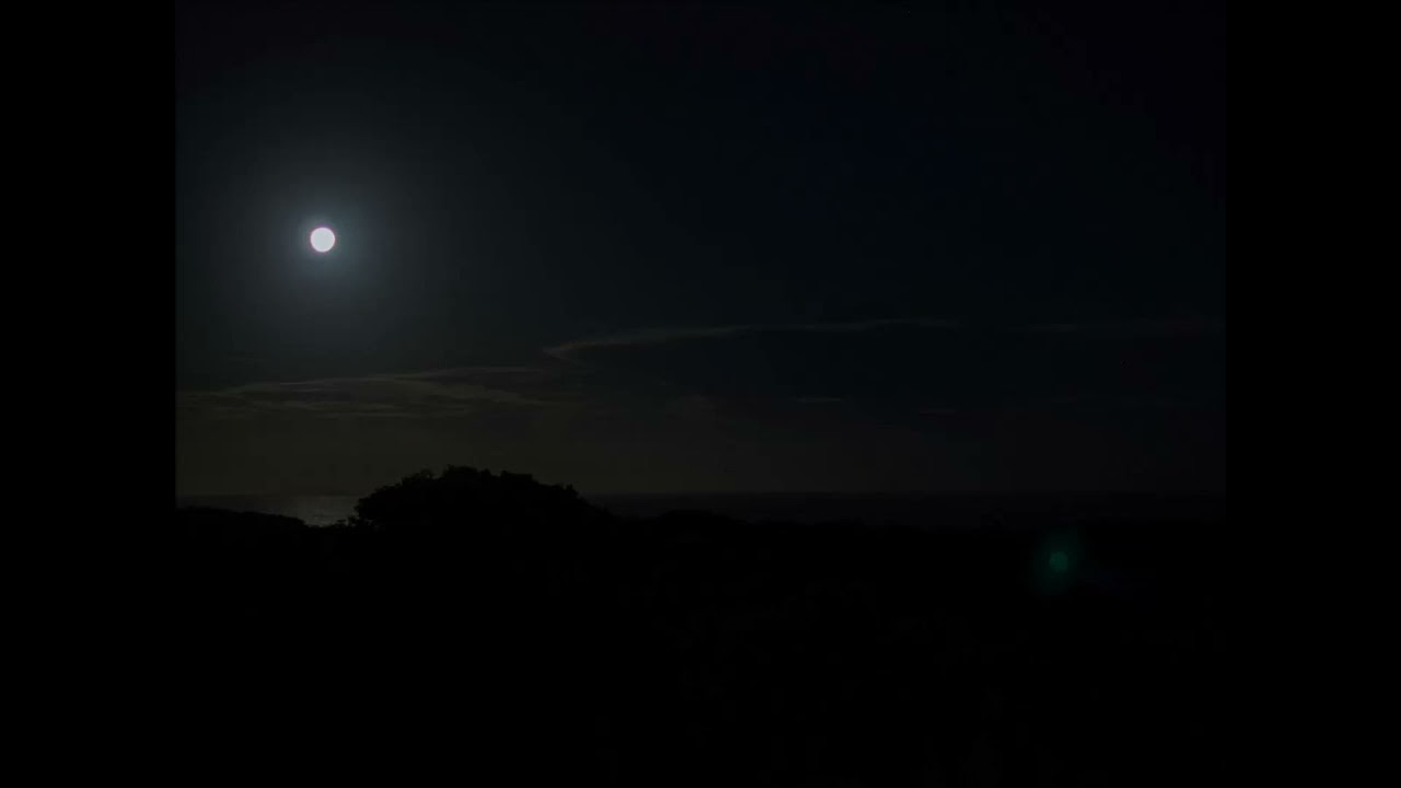 月光のノクターン　ニニ・ロッソ　”Guarda Che Luna”  Nini Rosso