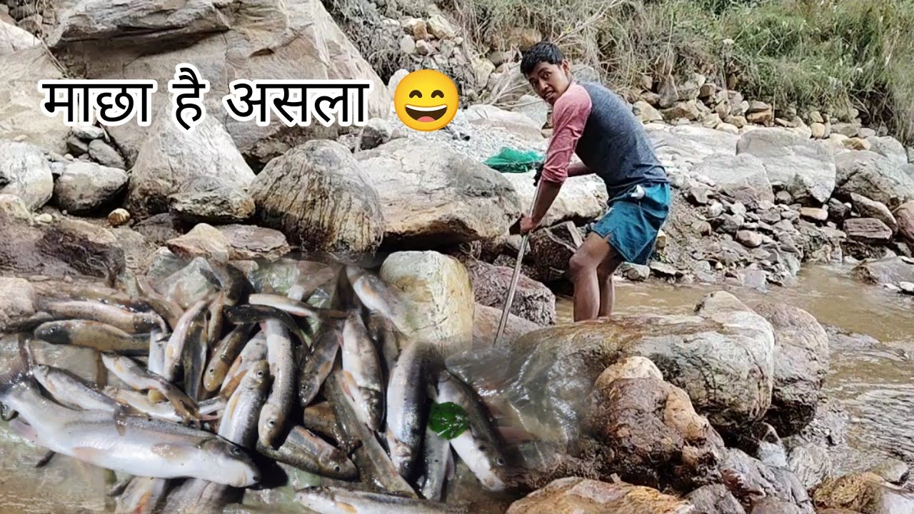 2 जनाले दुवोल सुकाउँदै ।। यसरी मारियो माछा ।। 