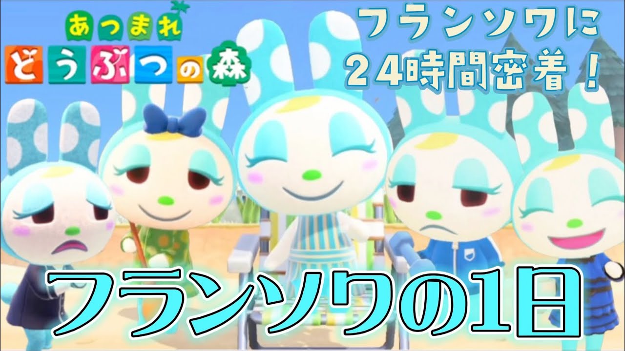 【あつ森】フランソワの1日！24時間密着してみたら美意識高すぎた！【あつまれどうぶつの森】【Animal Crossing】【ルーティン】