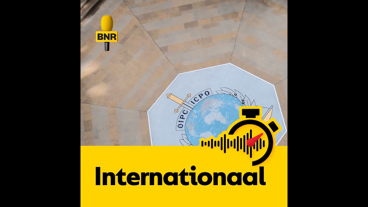Rusland maakt misbruik van Interpol bij jacht op critici