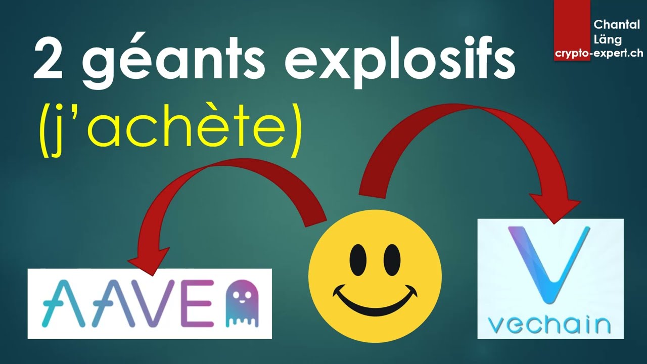 2 grosses cryptos explosives 2022 (VeChain, Aave) et CryptoStackers Pro - Revue #4