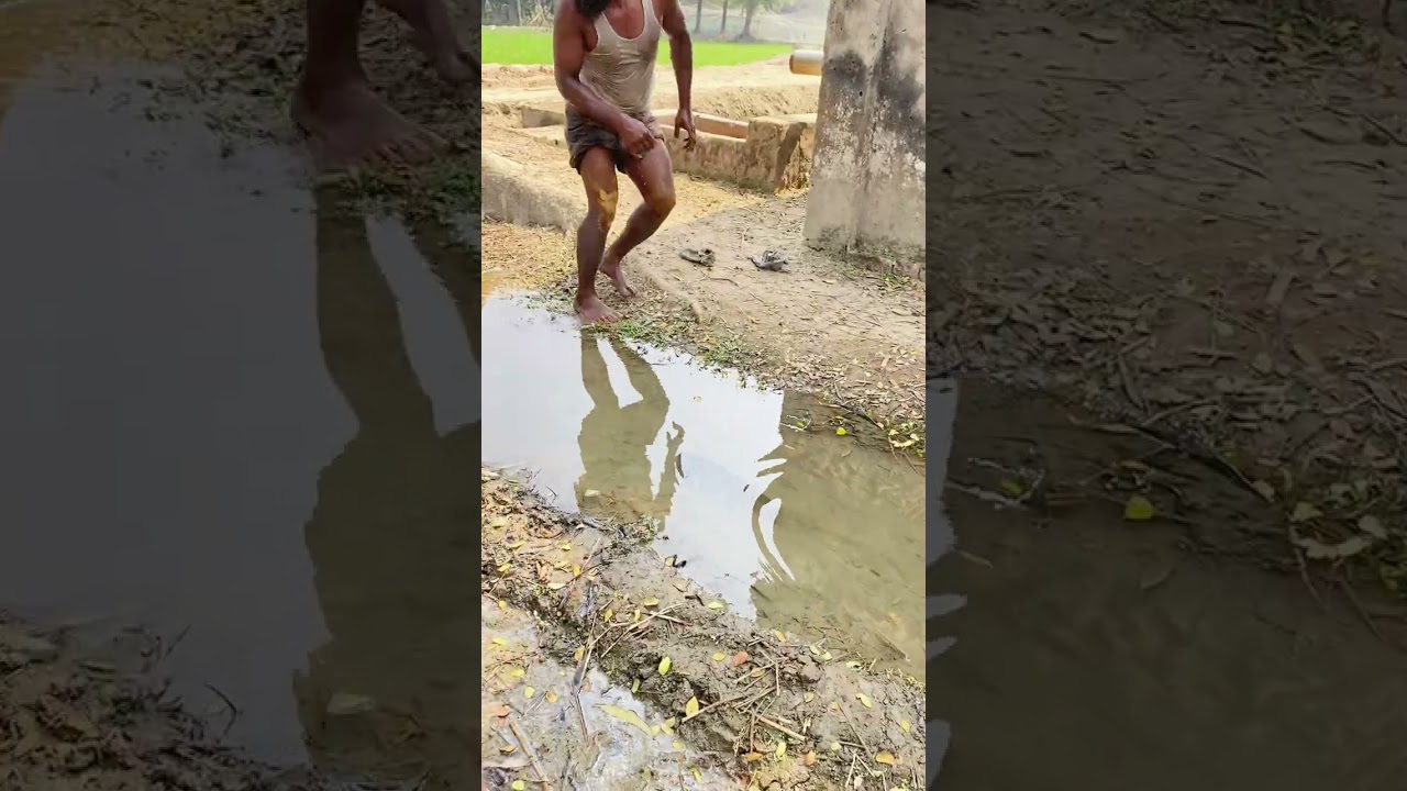 মাছ ধরার ভিডিও দেখেন🐠🐠