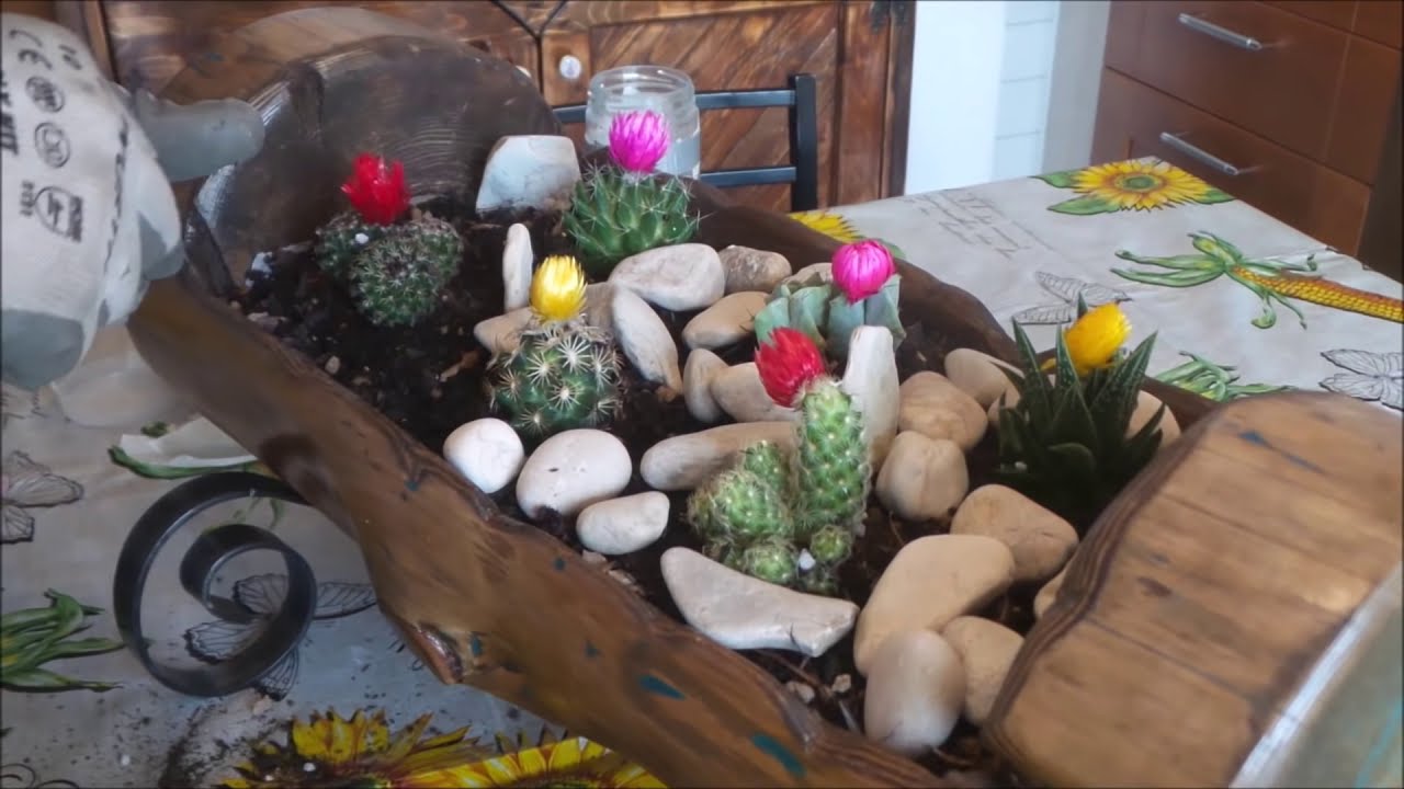 Come scavare un tronco di legno Fioriera Fai Da Te How to dig a Diy wooden trunk