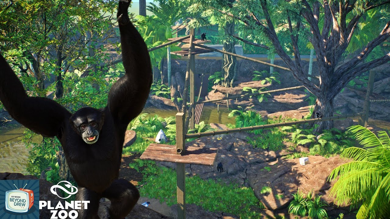 Siamang Habitat and Souvenir Shop | Eco Trails Wildlife Sanctuary | Planet Zoo Franchise Mode