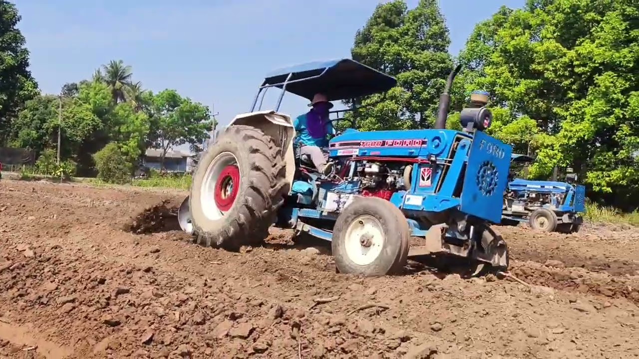 งานวิ่งร่องมะละกอ7ไร่#เตรียมพื้นที่ปลูกมะลพกอฮอลแลนด์