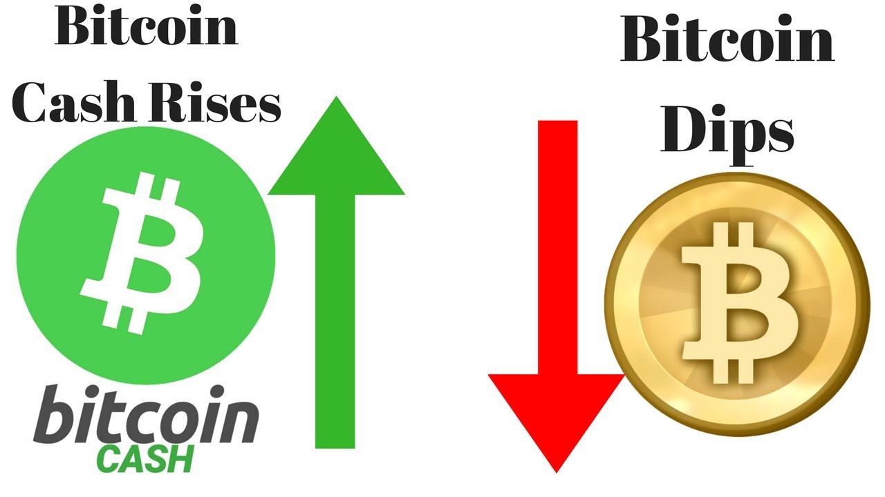 Why is Bitcoin Cash Rising and Why is Bitcoin Price dipping?