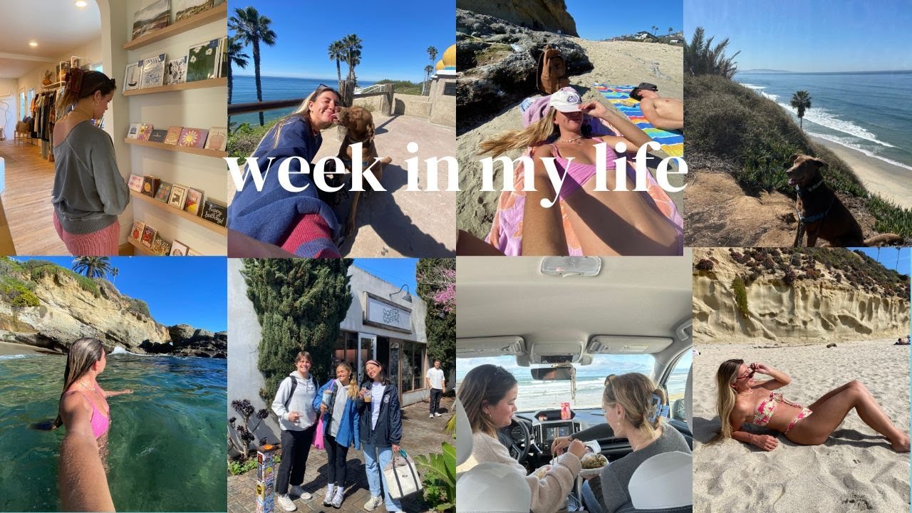 week in my life: diving kelp forests, coffee shops days, & friends