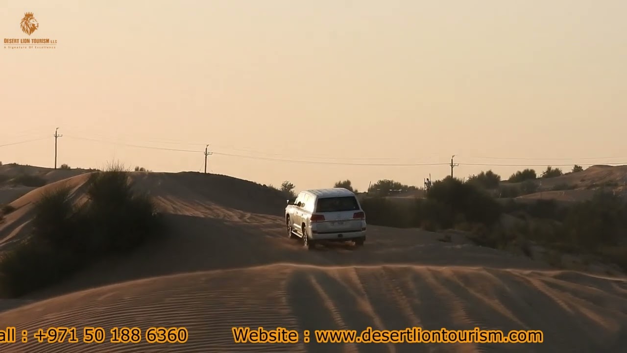 Dubai Safari Desert | Desert Safari Dubai 2024 | Desert Lion Tourism