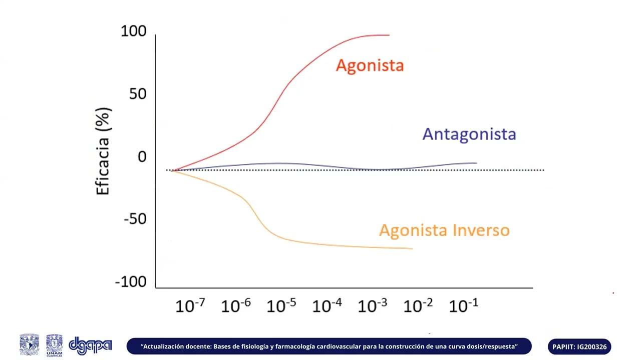 Actualización docente: Bases de fisiología y farmacología cardiovascular