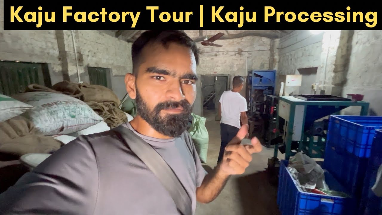 Kaju Factory tour in Konark Odisha | Kaju Process | Kaju Price | Bharat Darshan with Traveler Mohit