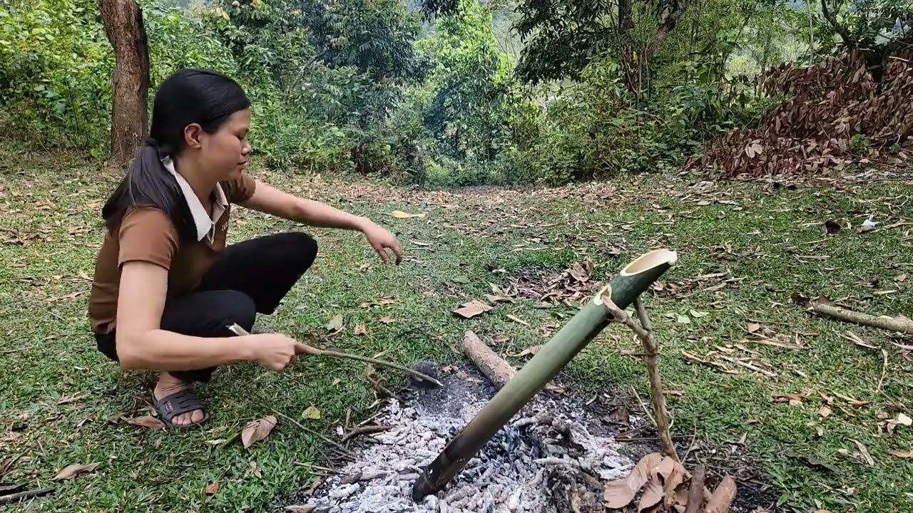 A 25 year old girl set up a temporary tent to live in that was destroyed by bad guys