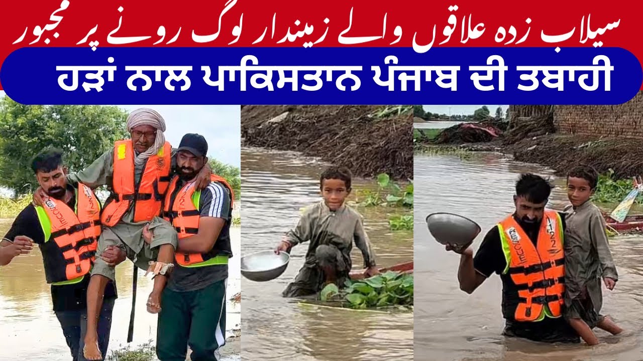 Langar Sewa in Punjab Floods | Khalsa Aid | Nasir Dhillon | Humanitarian Relief