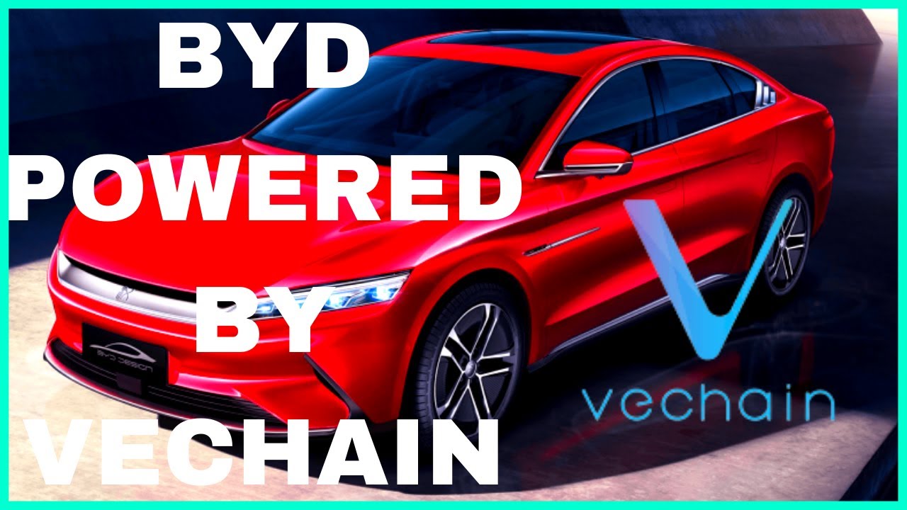Партнер VeChain BYD выпускает новую платформу и концепт автомобиля под названием Ocean X!