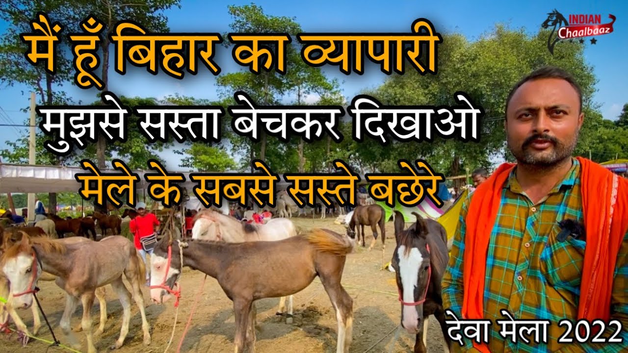 बिहार का व्यापारी भाई बोला मुझसे सस्ते बछेरे बेचकर दिखाओ 9931444703 Deva Mela 2022 Barabanki (UP)