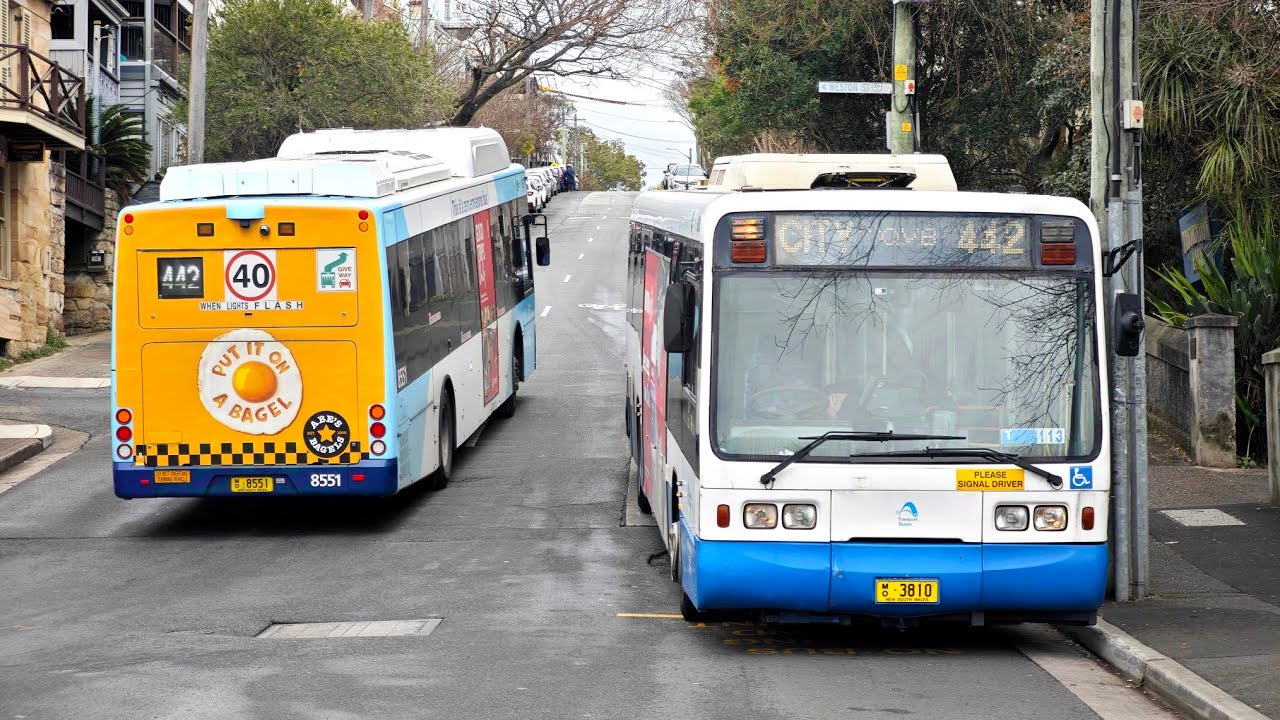 Transit Systems Leichhardt M/O 3810 - Scania L113CRL Ansair Orana 