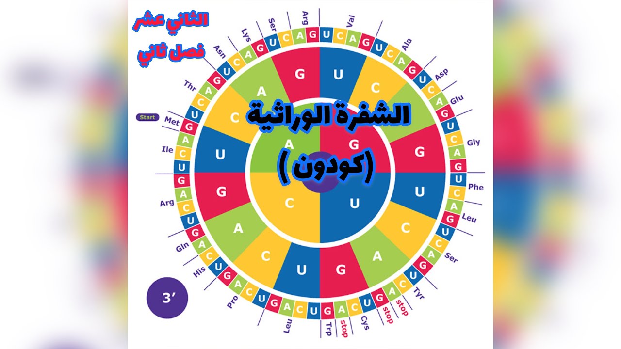 الكودون اوالشفرة الوراثية