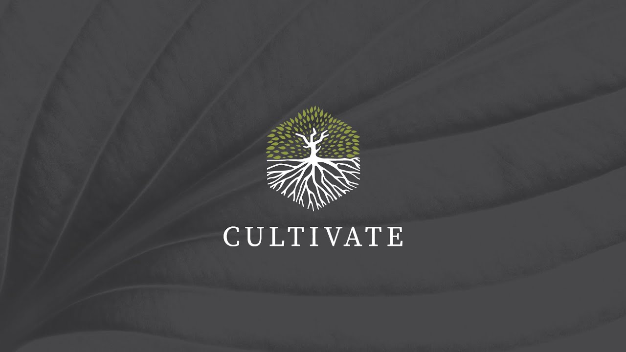 Celebrating Cultivate