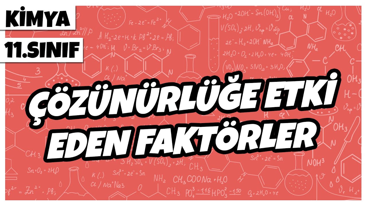 11. Sınıf Kimya - Çözünürlüğe Etki Eden Faktörler | 2022