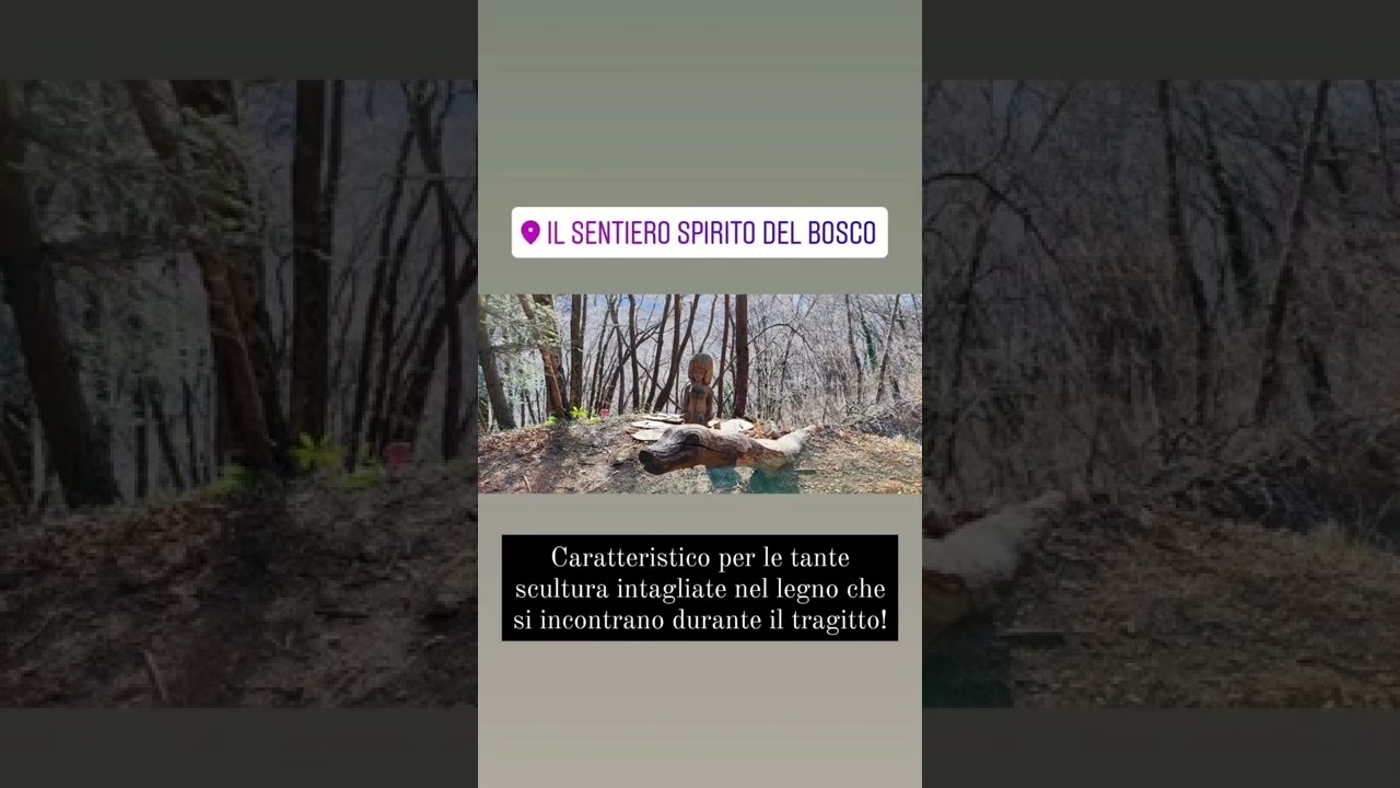 Per un trekking davvero originale in contatto con gli spiriti del bosco (Trailer)
