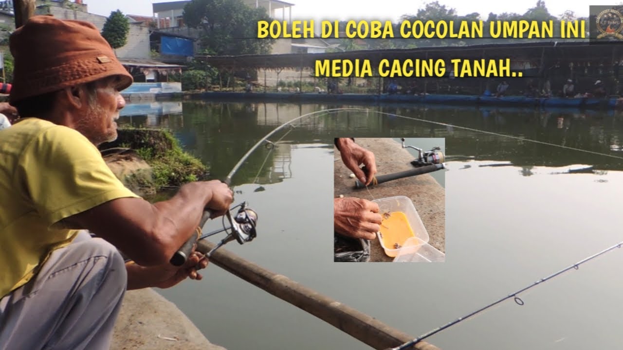 UMPAN COCOLAN IKAN BAWAL || BOLEH DI COBA