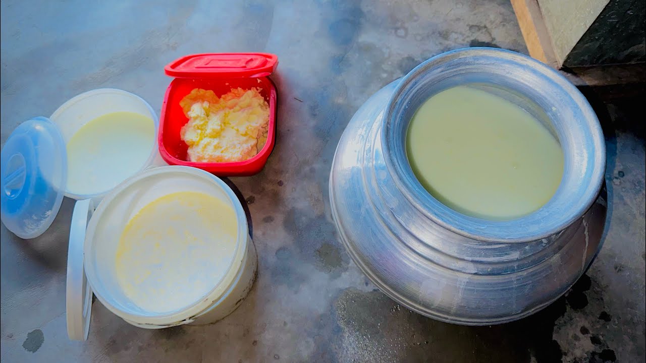 Desi ghee Nikalny ka tareeka 🥳 | Gaaon main Daily routine 🥰 | Mariam Vlogs