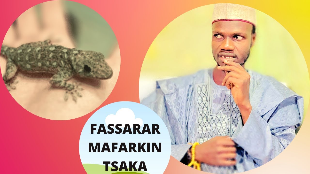 FASSARAR MAFARKIN TSAKA