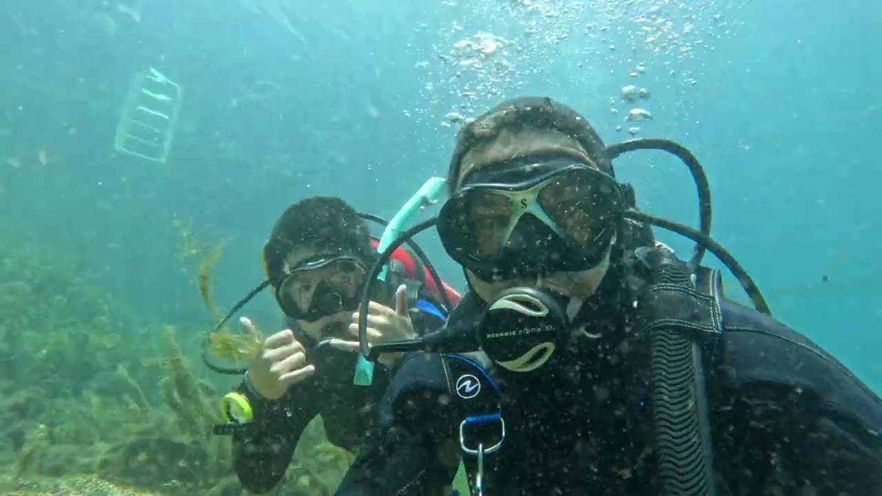 Meadows Center for Water and the Environment - Certification Dive