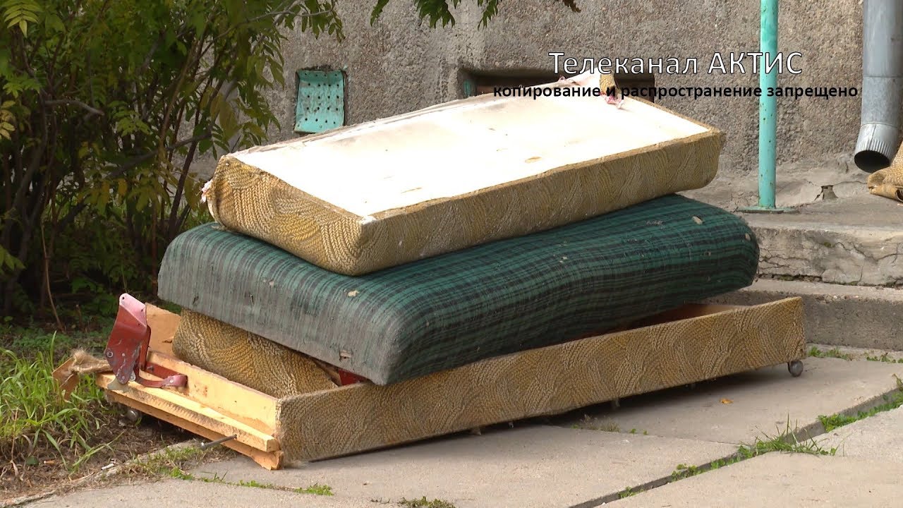 Дом в Ангарске заполонили черви
