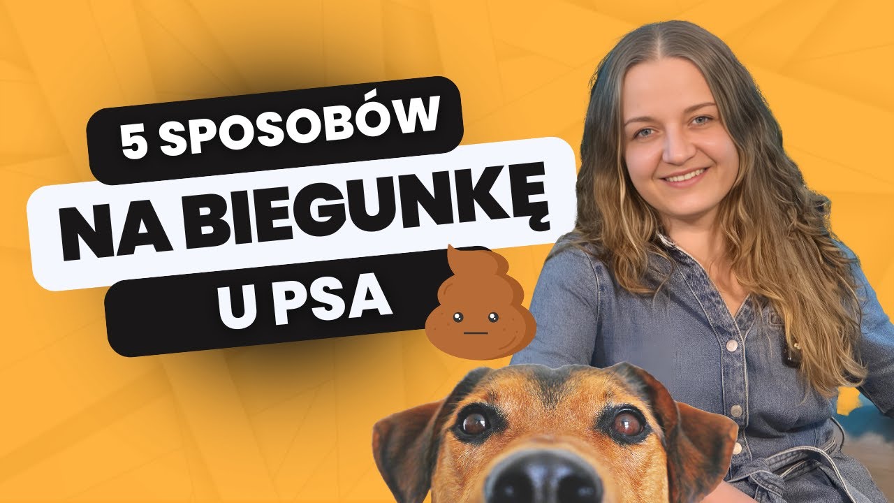 BIEGUNKA u psa? Ten trik ZATRZYMA ją w 24h (bez antybiotyków!)  Kawa z PsiaPsi