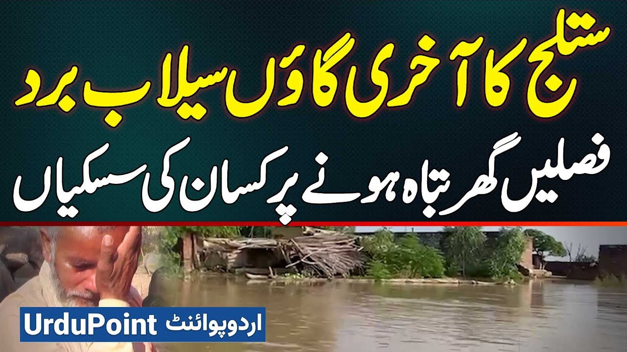 Sutlej River Flood - Last Village of Sutlej Drowned in Flood - Farmer Sobs as Crops & Home Destroyed
