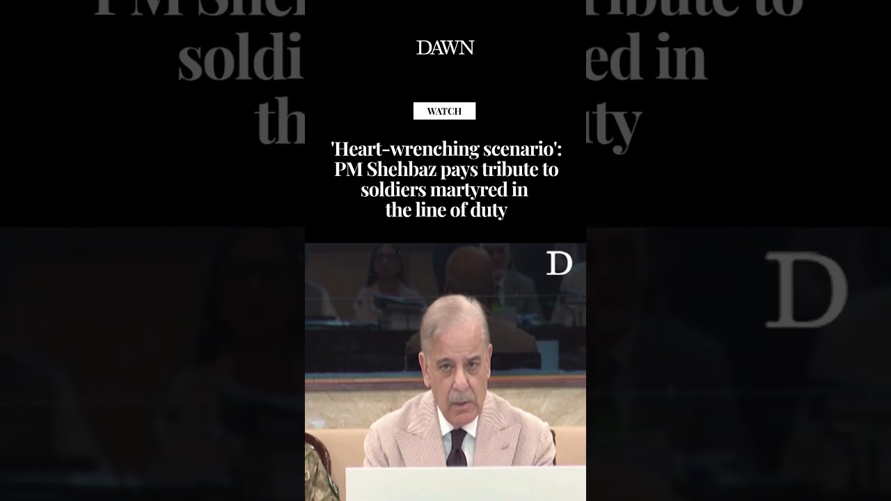 'Heart-wrenching scenario': PM Shehbaz pays tribute to soldiers martyred in the line of duty