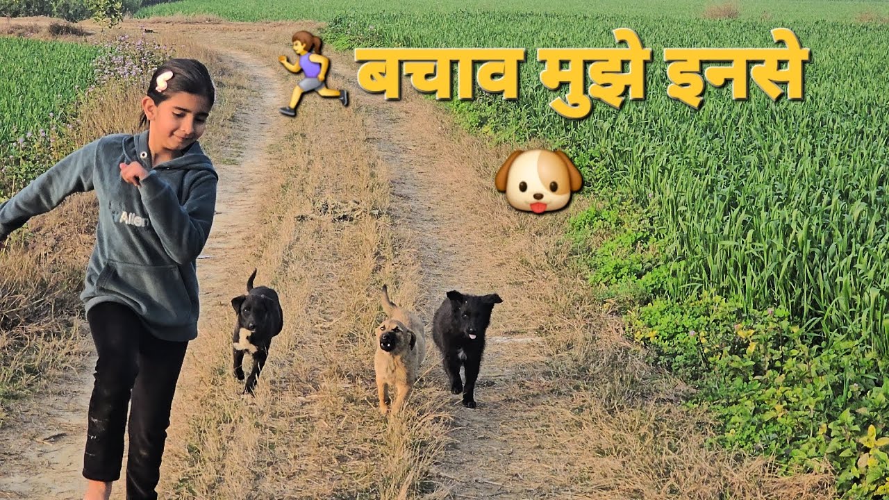 😅तीनों pappy manvi k पीछे lag गए! 🏃‍♀️बचाव muje इनसे 😂