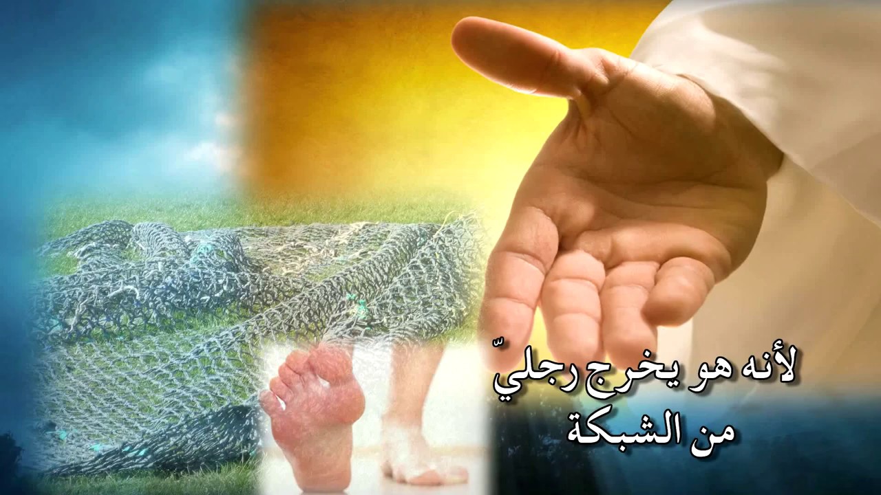 عيناي دائماً إلى الرب