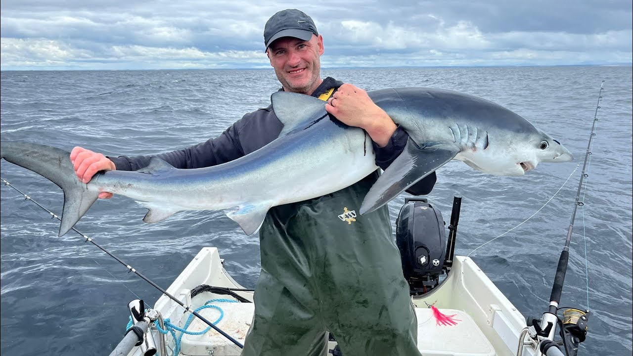 DIY Chum for Blue Sharks – Attract Sharks Fast!