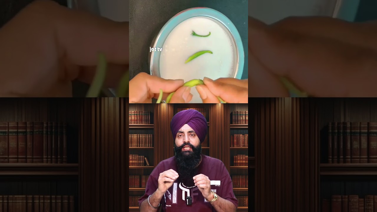 Making curd using green chili GreenChiliCurd, #SpicyCurd, #HomemadeCurd, #IndianRecipe,