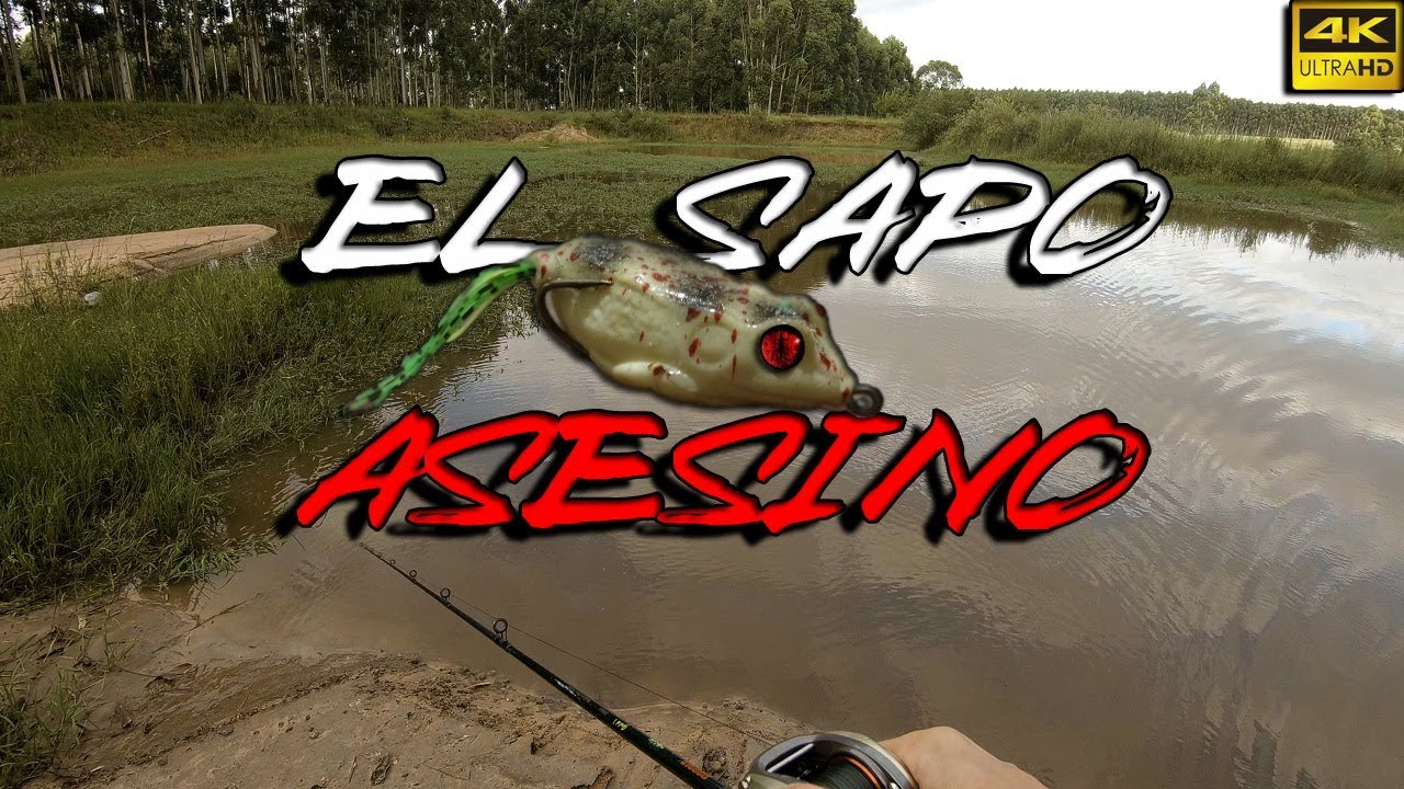Pescando TARUCHA baitcasting en 👉 [ 4k ]