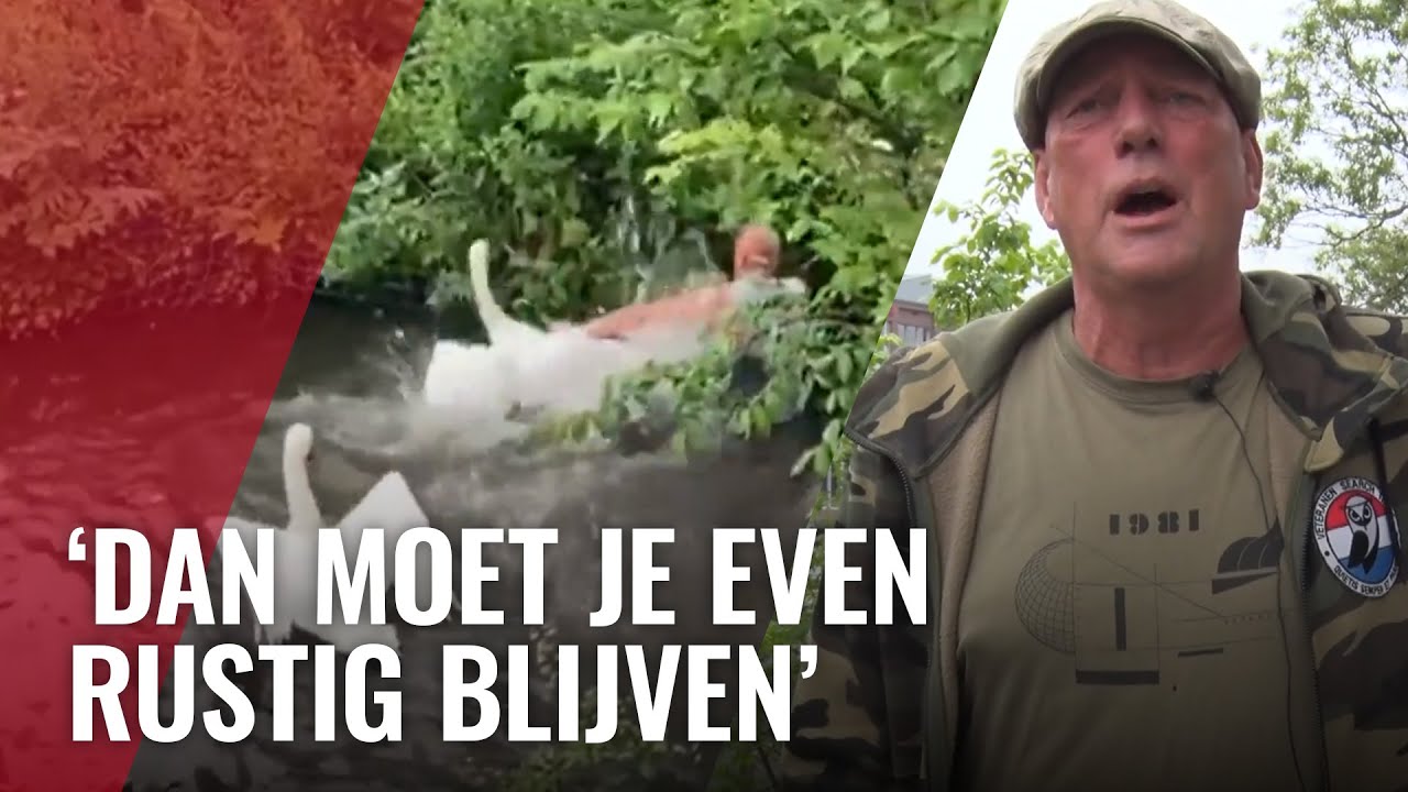 Eric redt zwanenjong uit net en krijgt klappen van ouders