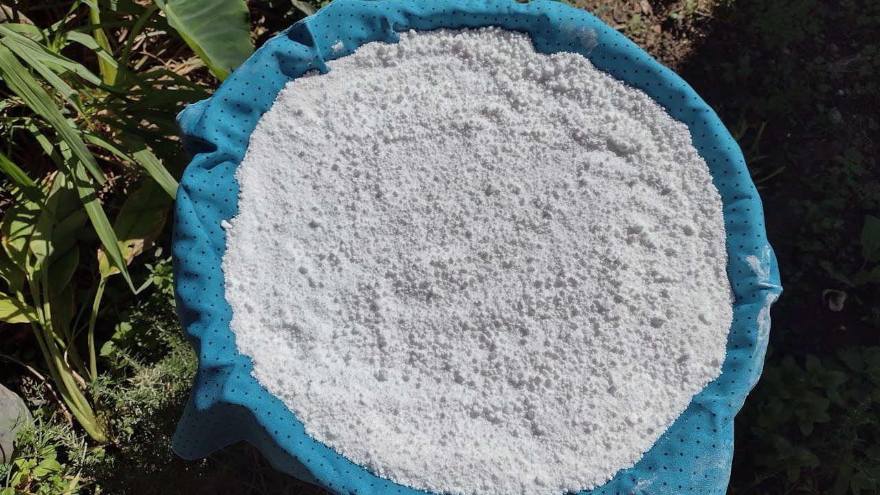 Tirando Goma de Mandioca/#Usando o  Liquidificador para Bater/ De uma Maneira mais Fácil.