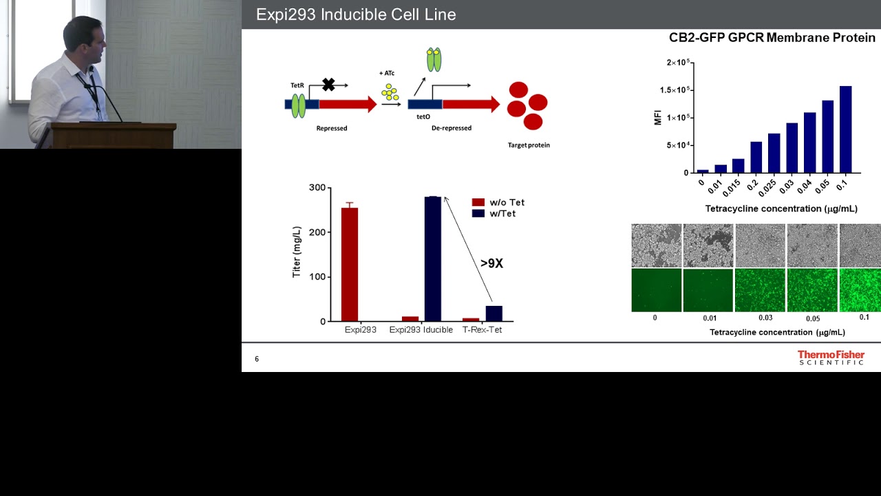 Expi293: New Tools for Structural Biology and Difficult to Express Proteins