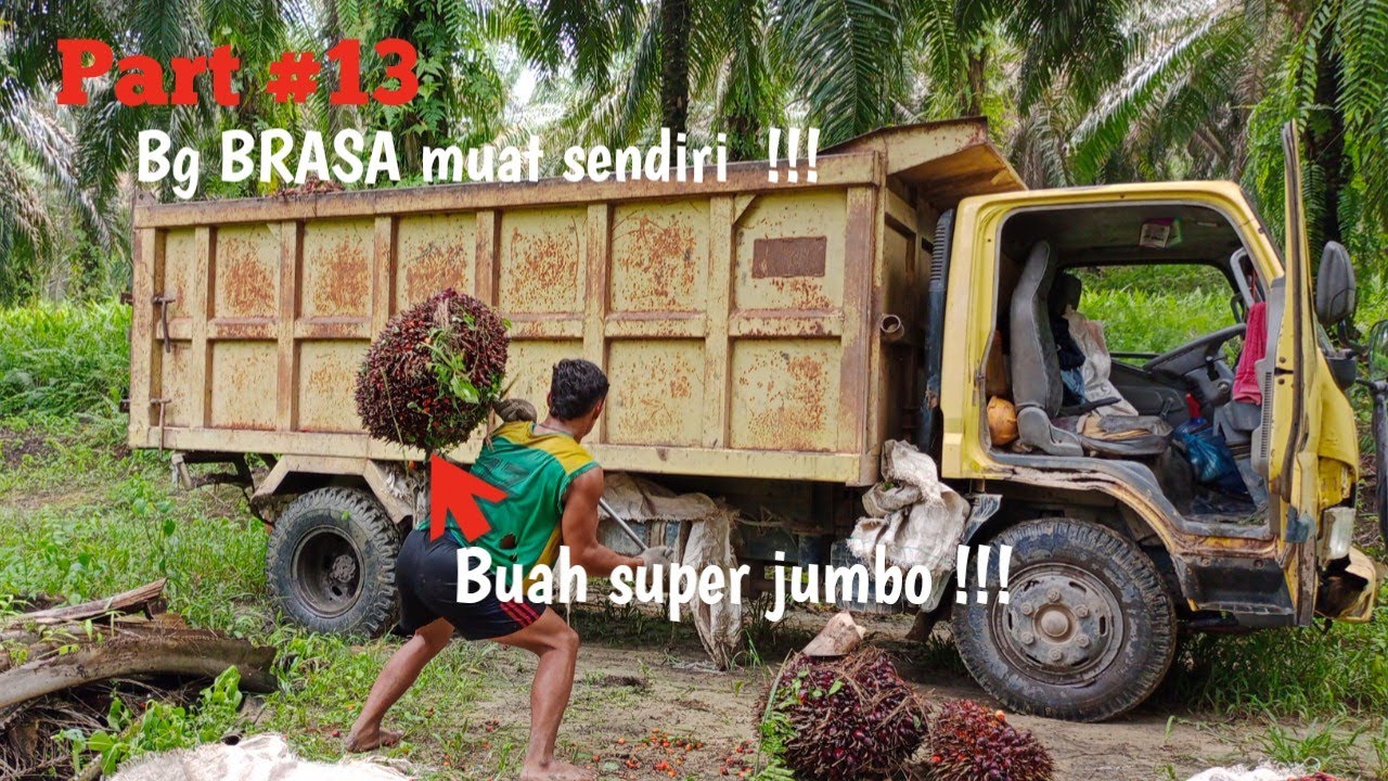 Buah super jumbo !!!