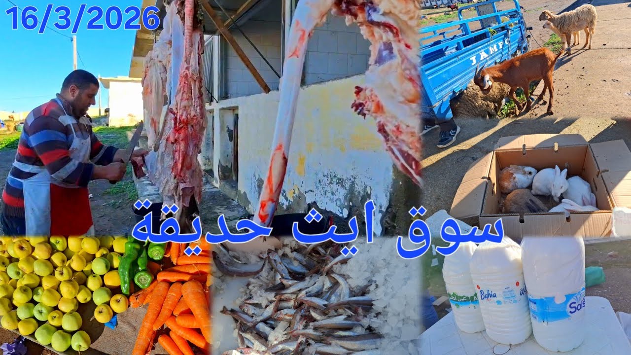 جولة في سوق الأسبوعي رثناين ايث حديقة.🍅🍏🐟 16/3/2026 Bni Hadifa